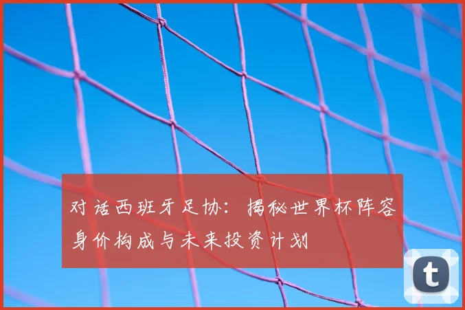 对话西班牙足协：揭秘世界杯阵容身价构成与未来投资计划