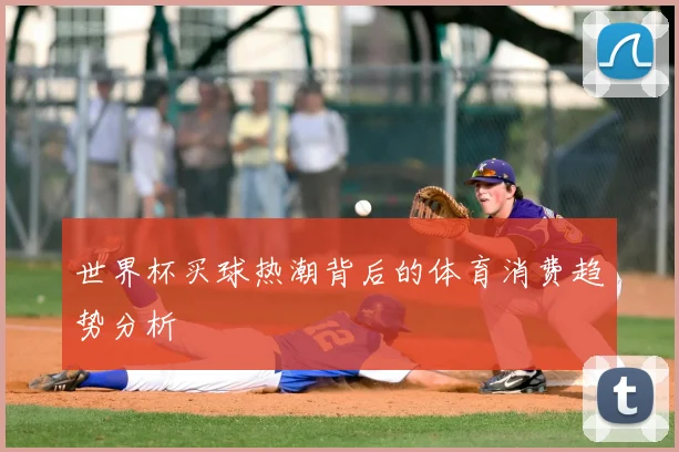 世界杯买球热潮背后的体育消费趋势分析