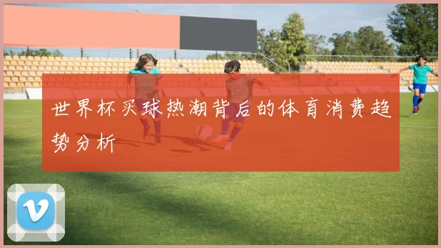 世界杯买球热潮背后的体育消费趋势分析