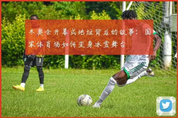 冬奥会开幕式地址背后的故事：国家体育场如何变身冰雪舞台