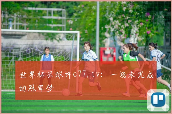世界杯买球许c77,tv：一场未完成的冠军梦