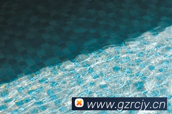 App Interface Preview