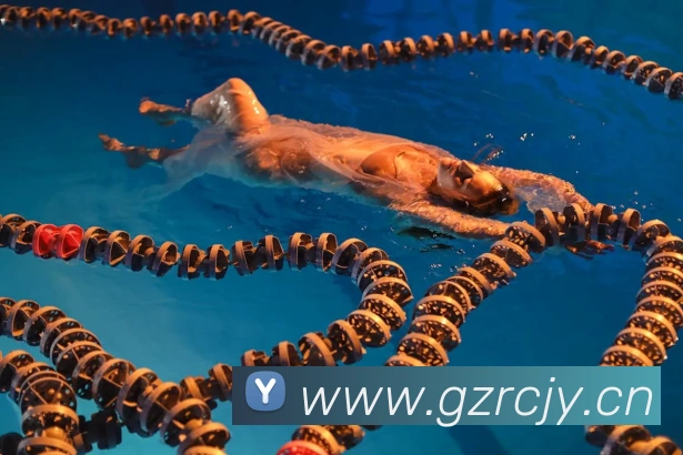 开云在线手机版入口APP 封面图